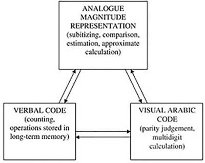 How the Language of Instruction Influences Mathematical Thinking Development in the First Years of Bilingual Schoolers